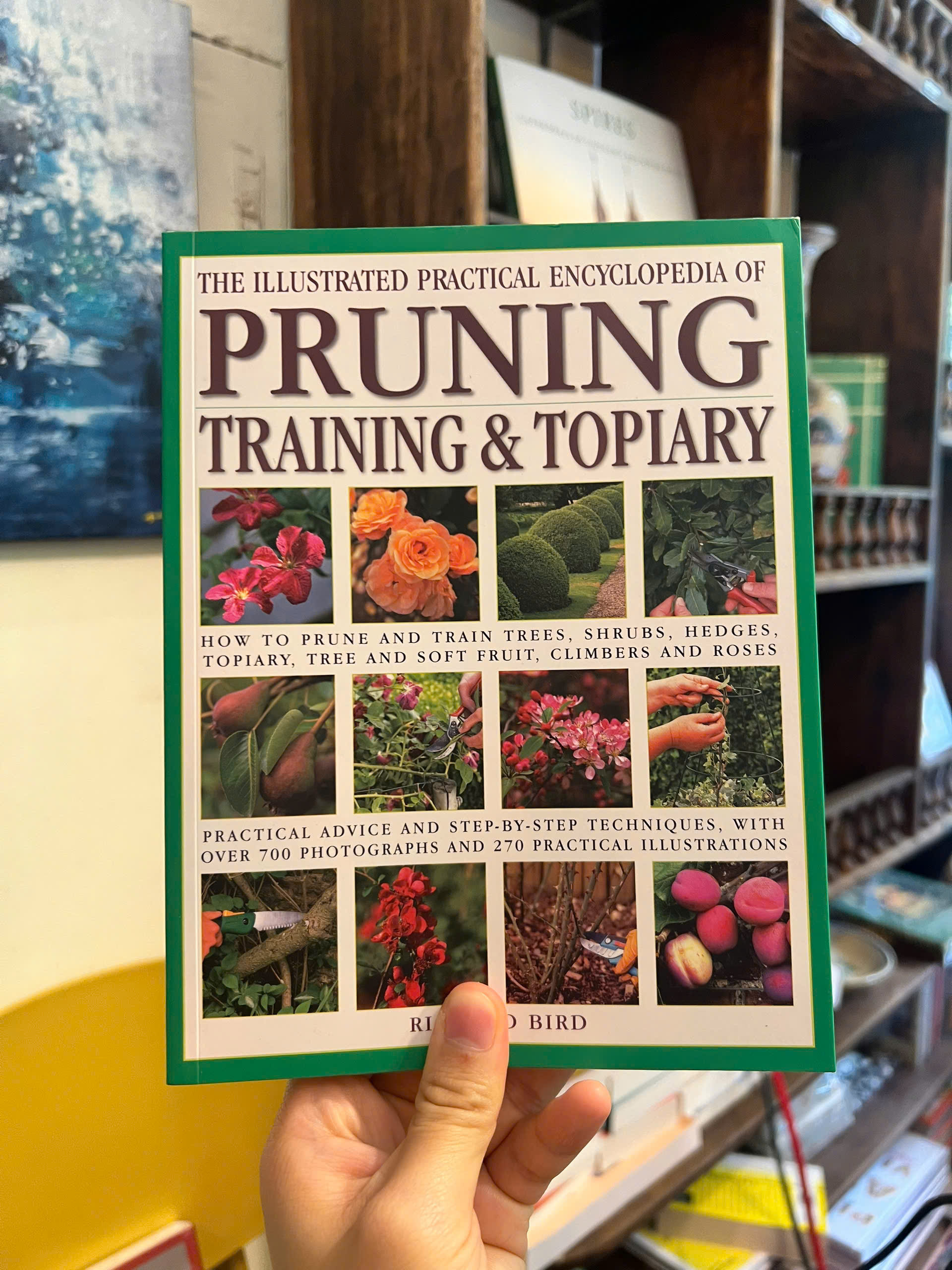 Sách - Illustrated Practical Encyclopedia of Pruning, Training & Topiary | Làm vườn / Nhập khẩu