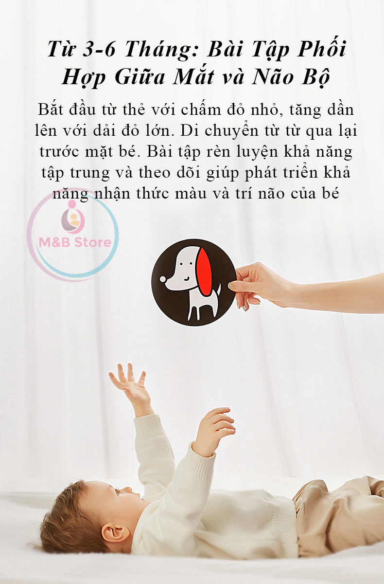 Bộ Thẻ Thị Giác Phát Triển Thị Giác, Nhận Thức và Não Bộ - KUB