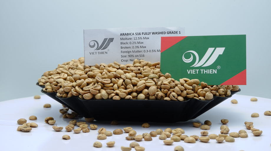 Việt Thiên_Cafe nhân xanh Arabica S16 Full Washed_1kg_Nhà máy sản xuất, chế biến cafe nhân xanh