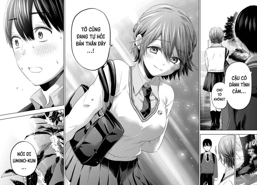 kakkou no iinazuke chapter 114 16