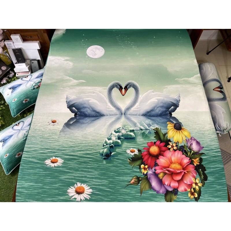 Drap thun hàn quốc