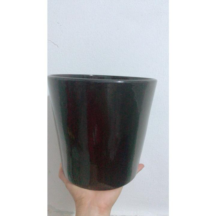 Chậu Sứ Trồng Cây