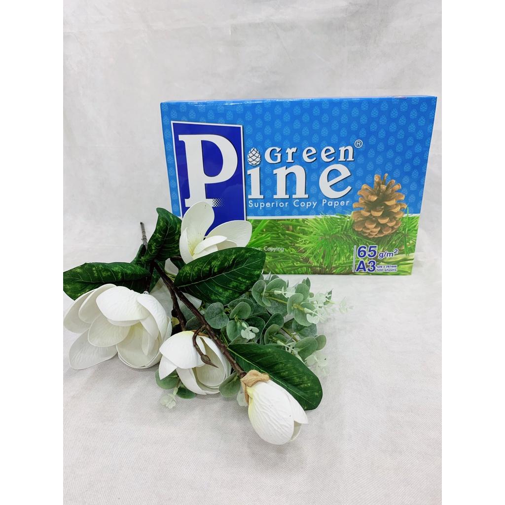 Giấy in, giấy photo Green pine A3, A4, A5 ĐL 65g/m2 - Giấy In Văn Phòng