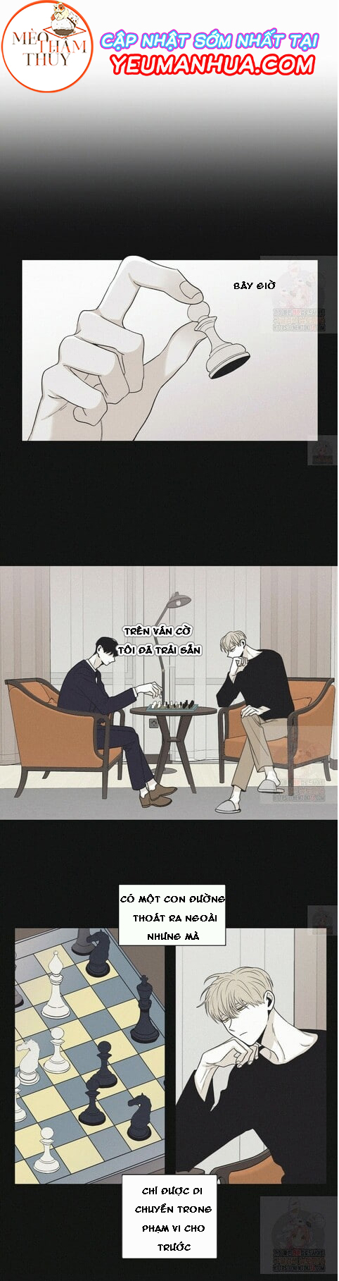 chiếu tướng chapter 16 6