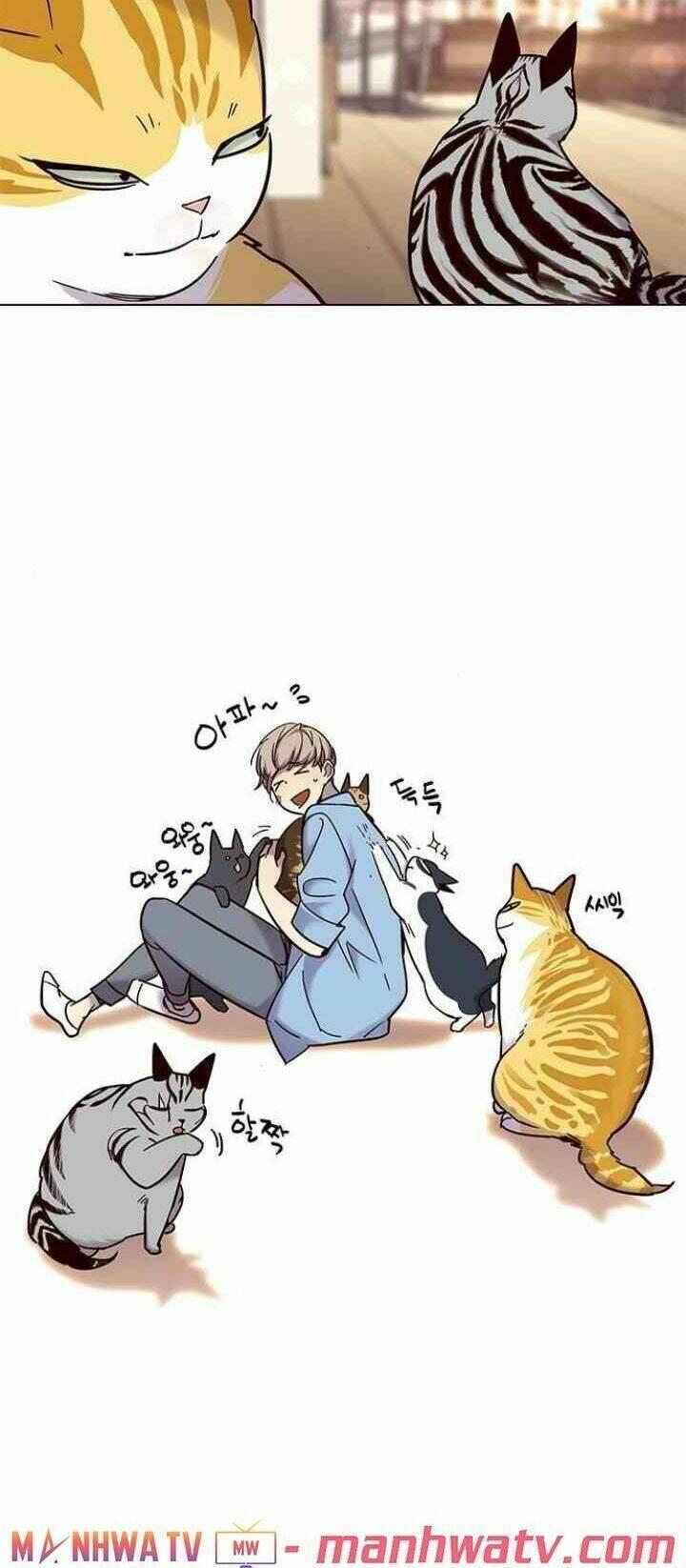 biến thân thành mèo chapter 99 66