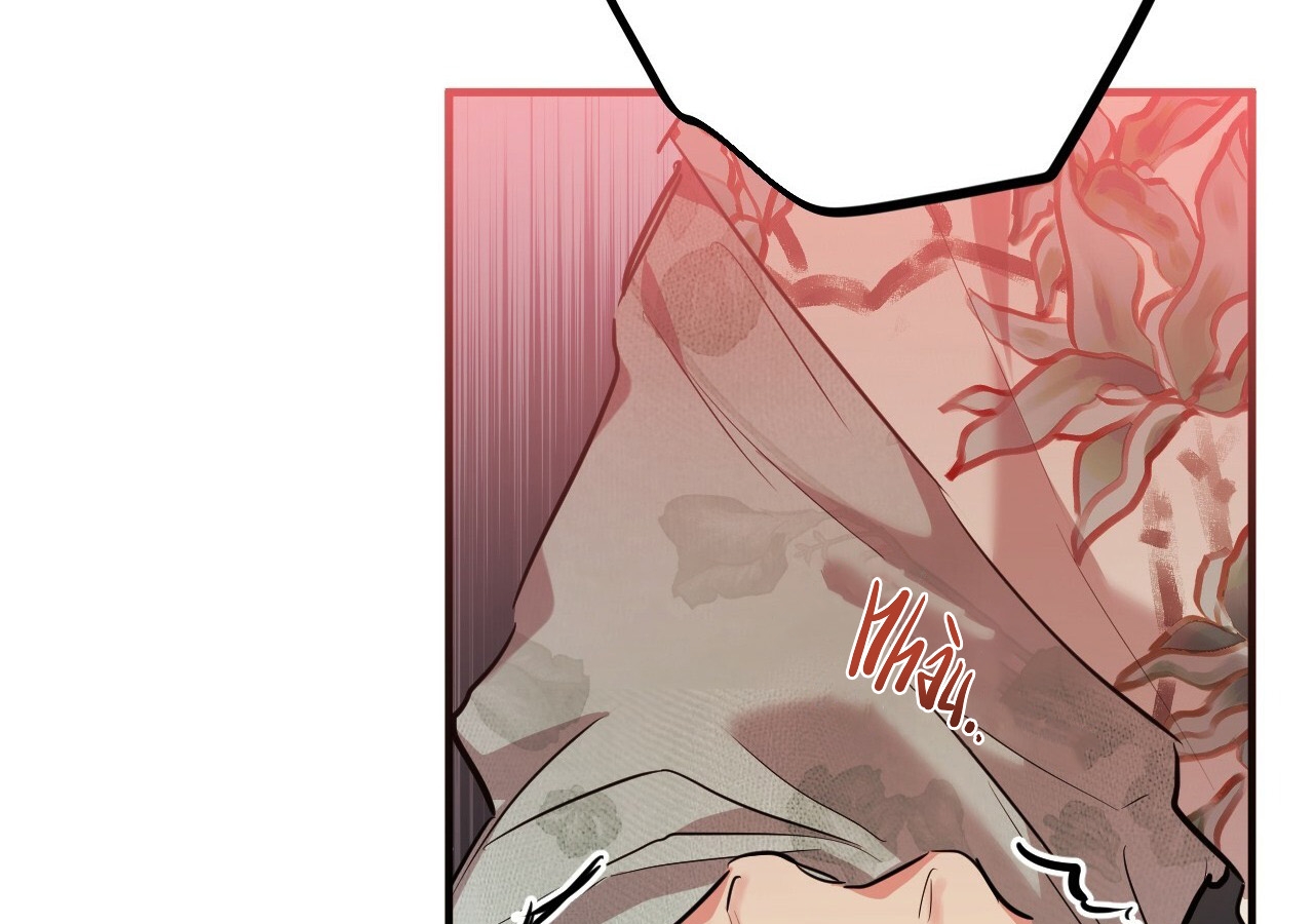 đàn thỏ của habibi chapter 21 214