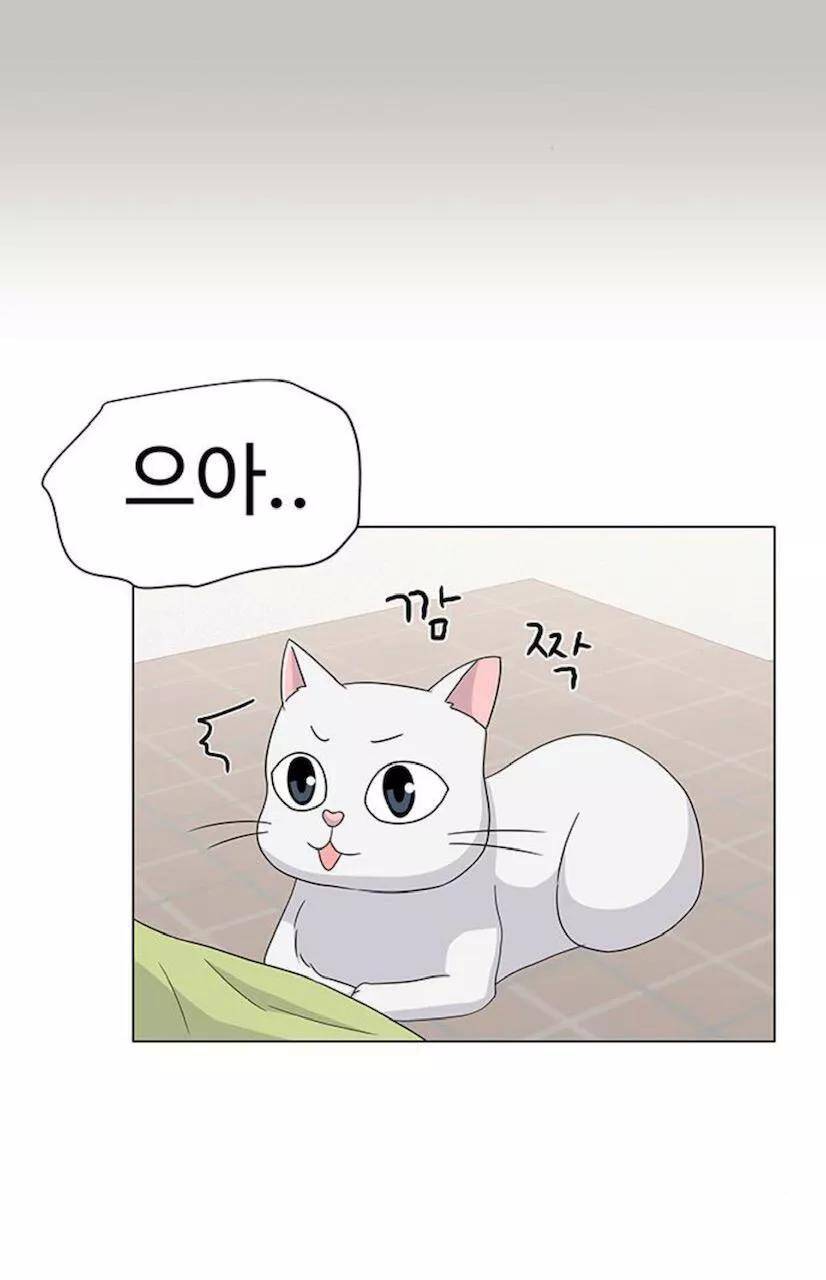 idol và sếp, em yêu ai? chapter 76 10