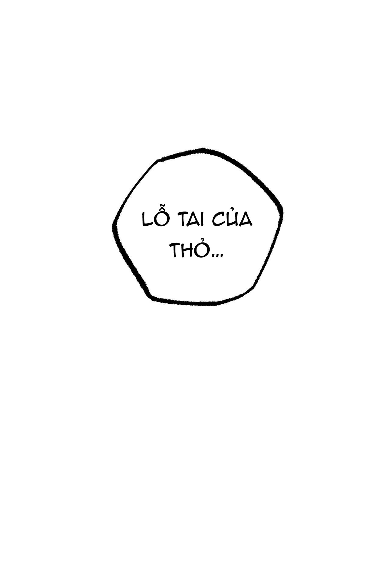 những chú thỏ của hapypy chapter 34 36