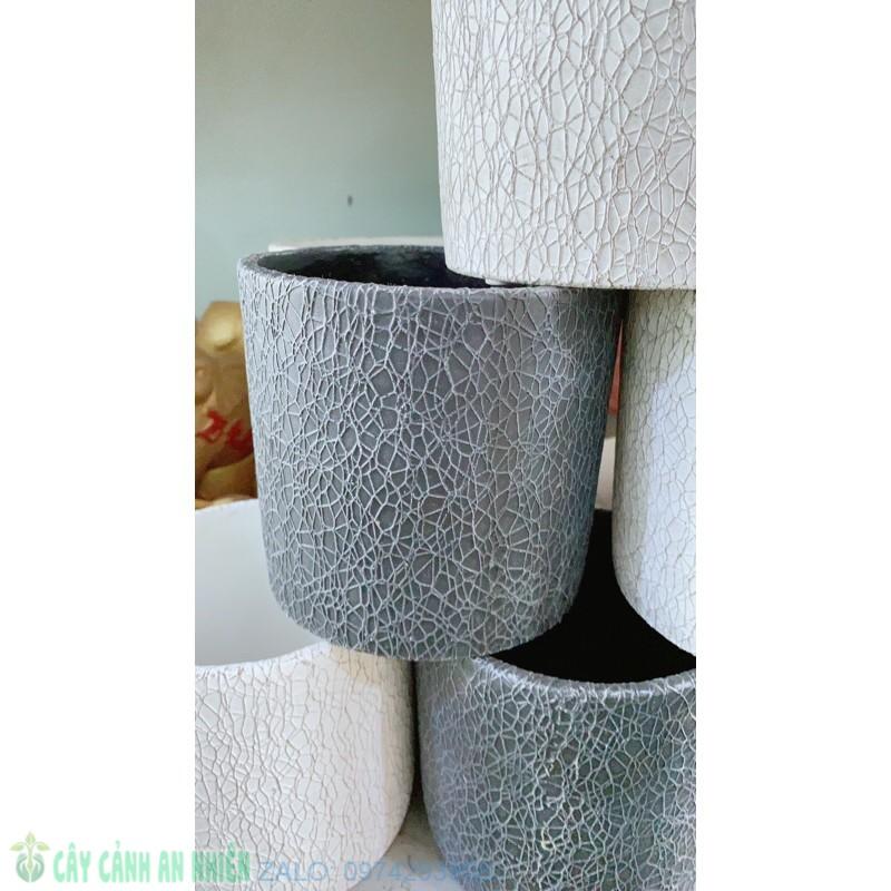 Chậu Trồng Cây 11x11Cm