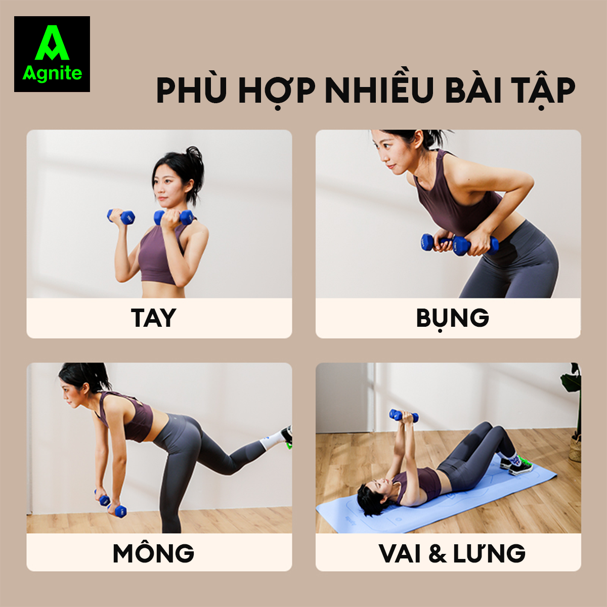 Tạ tay nam nữ nhiều mức chính hãng Agnite - PVC bọc gang siêu bền - dụng cụ hỗ trợ gym, pilates - ER081/ER082/ER083