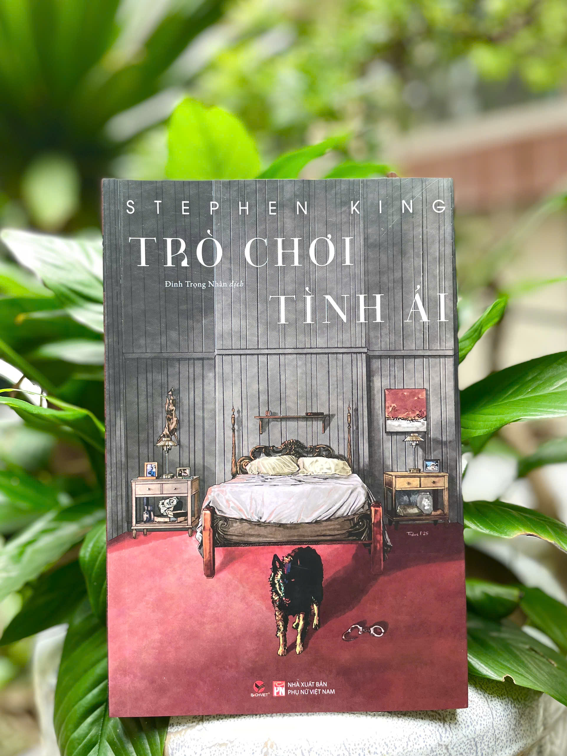 Sách - Trò chơi tình ái (Stephen King) - Bách việt - Tái bản 2025