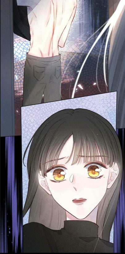 nỗi buồn của hoa cẩm tú cầu chapter 19 16