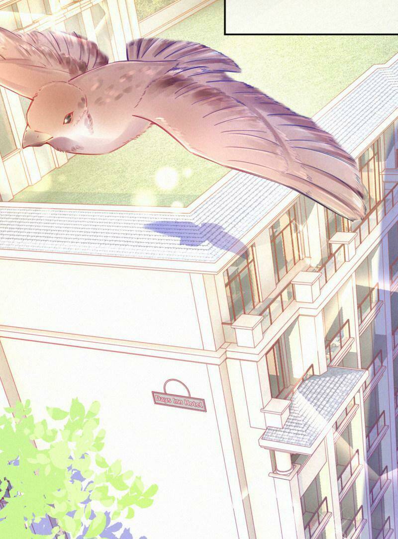 mami đột kích, thiên tài manh bảo khốc daddy chapter 24 12