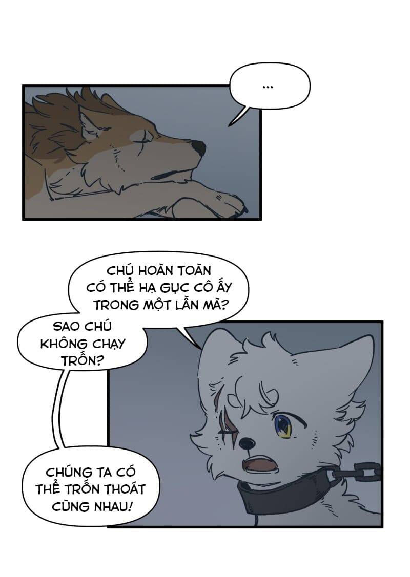 lumine - cội nguồn ánh sáng chapter 140 10