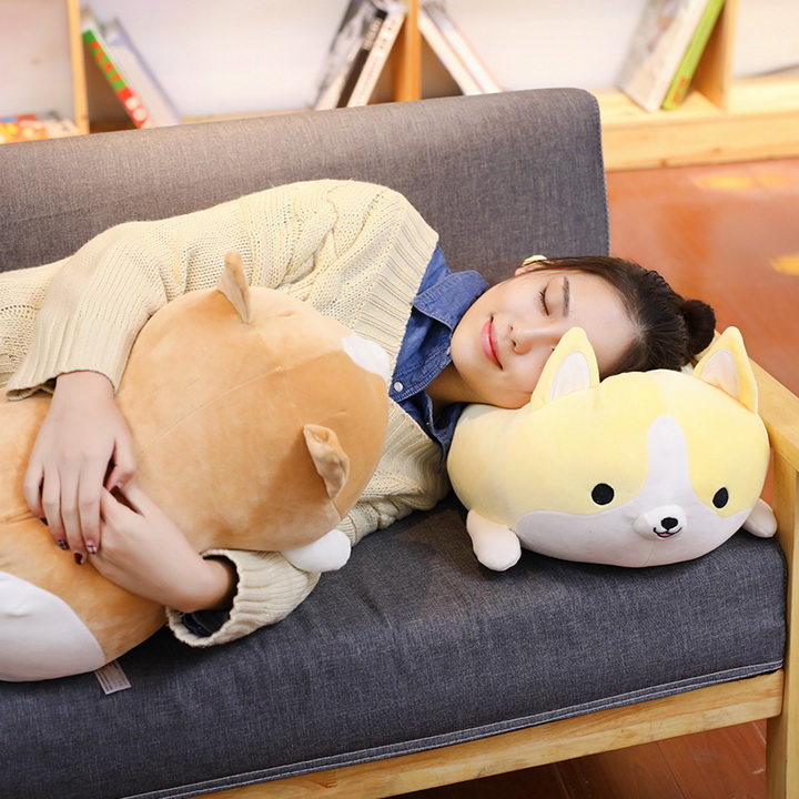 Thú nhồi bông hình chó Corgi đáng yêu TNB234 - Màu ngẫu nhiên