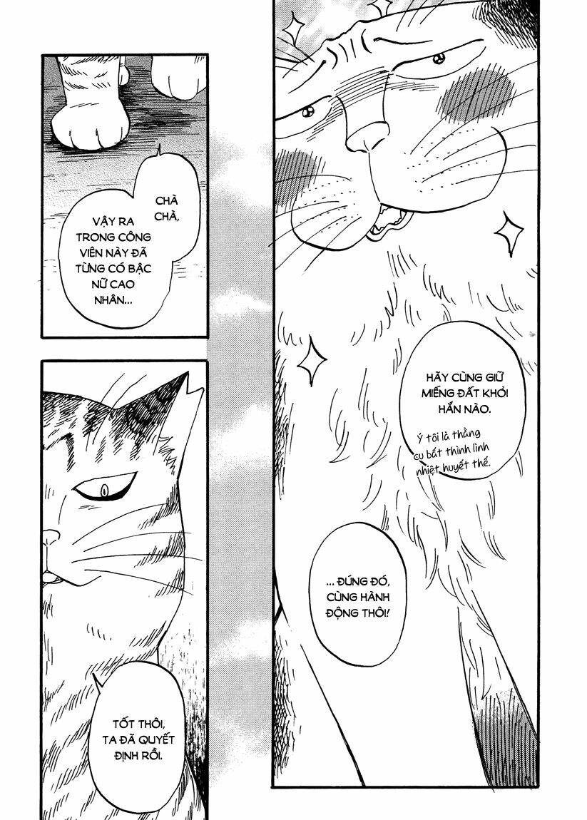 tui là busamen! chapter 7 10