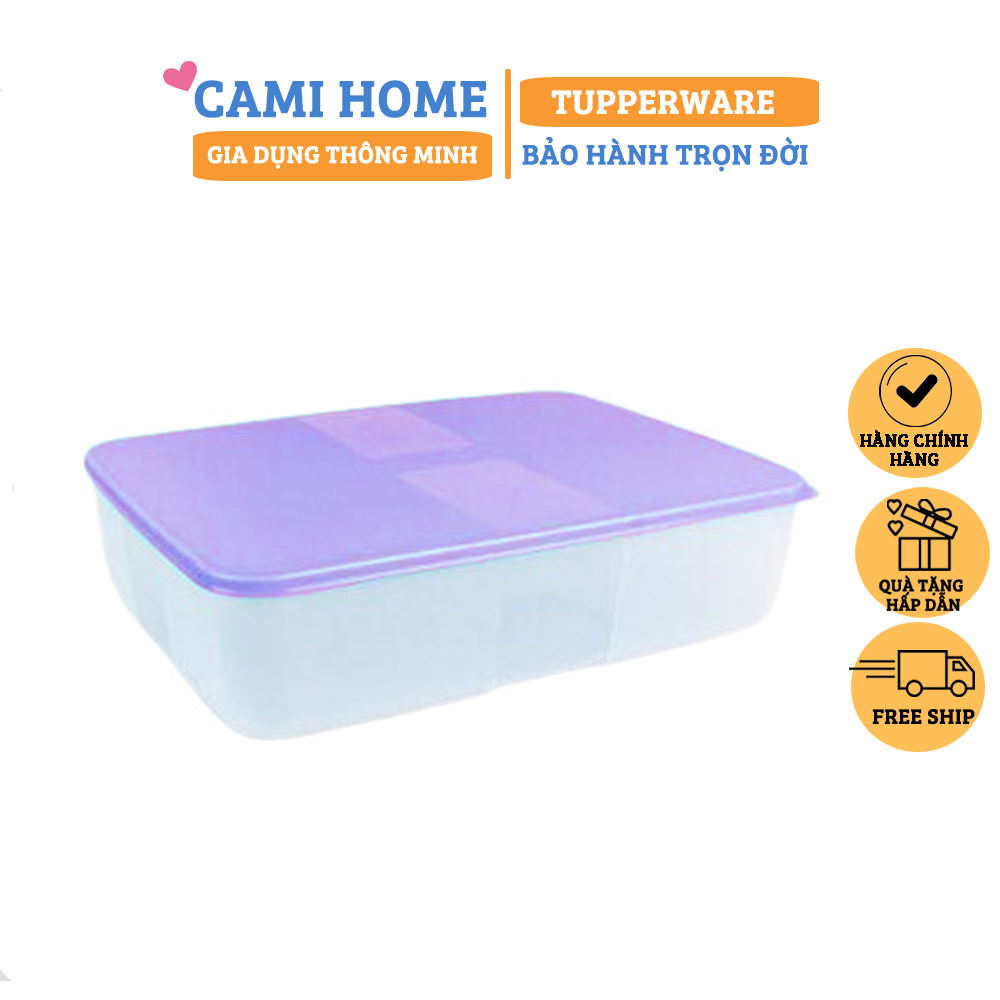 Hộp Trữ Đông Freezermate 3.1L Tupperware, Hộp Mát, Bảo Quản Thực Phẩm, Nhựa Nguyên Sinh An Toàn