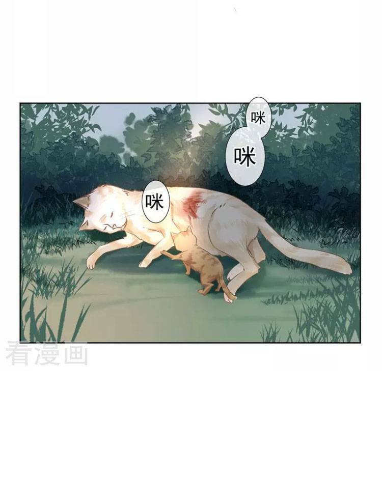 thiếu nữ sấm sét chapter 25 24