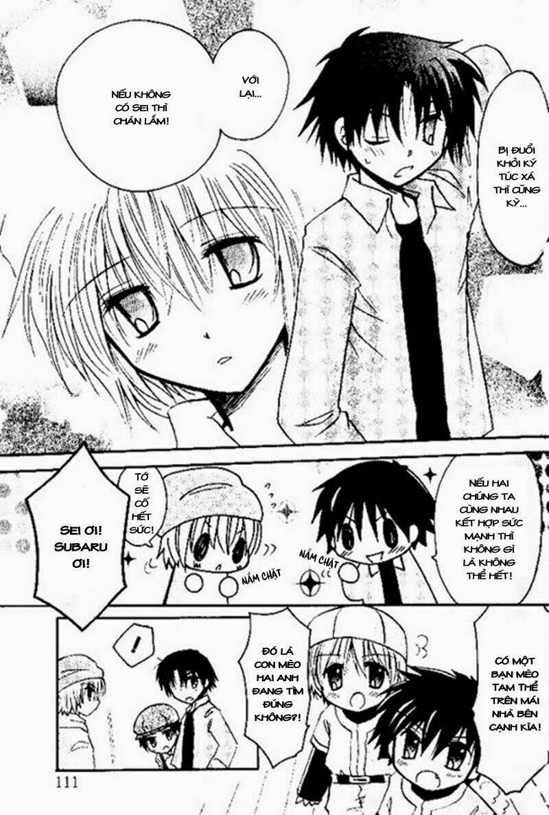 boku x neko? chapter 4 21