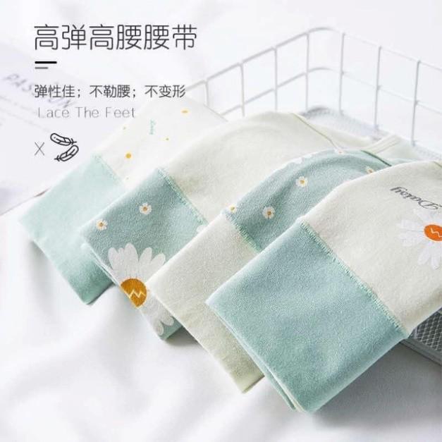 Quần Lót Nữ. Quần lót cotton lưng cao size đại 50-70kg