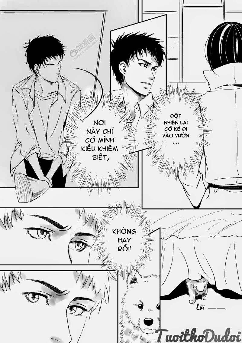 sự mê hoặc của sói chapter 6 11