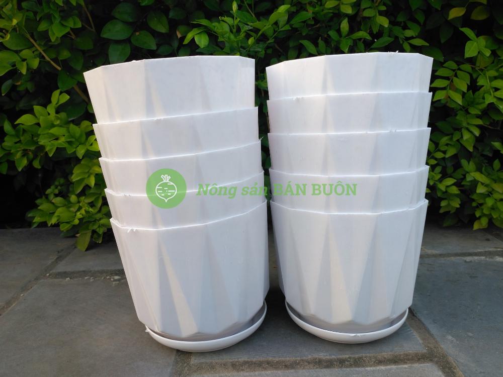 10 Chậu nhựa Múi Khế trắng trơn 140x115 có kèm Đĩa Lót, trồng xương rồng, sen đá, cây cảnh mini để bàn