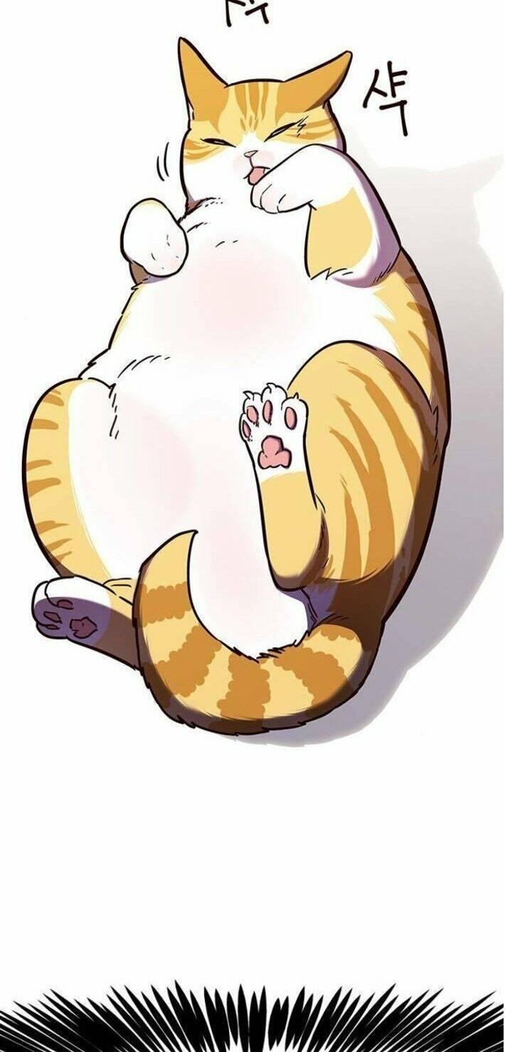 biến thân thành mèo chapter 141 49