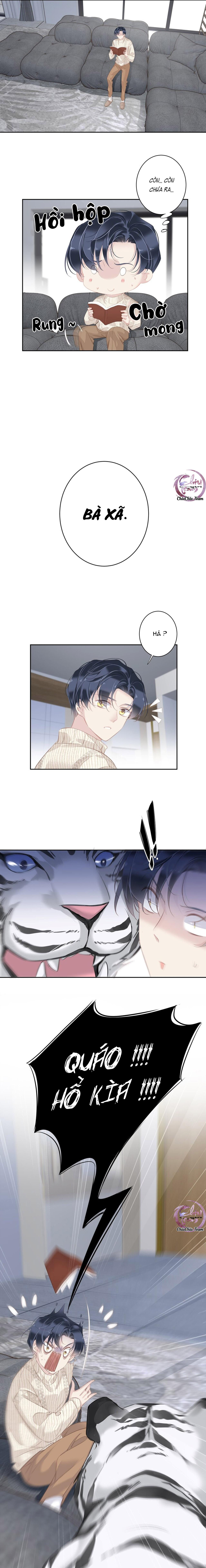 cuộc mai mối vượt giống loài chapter 35 2