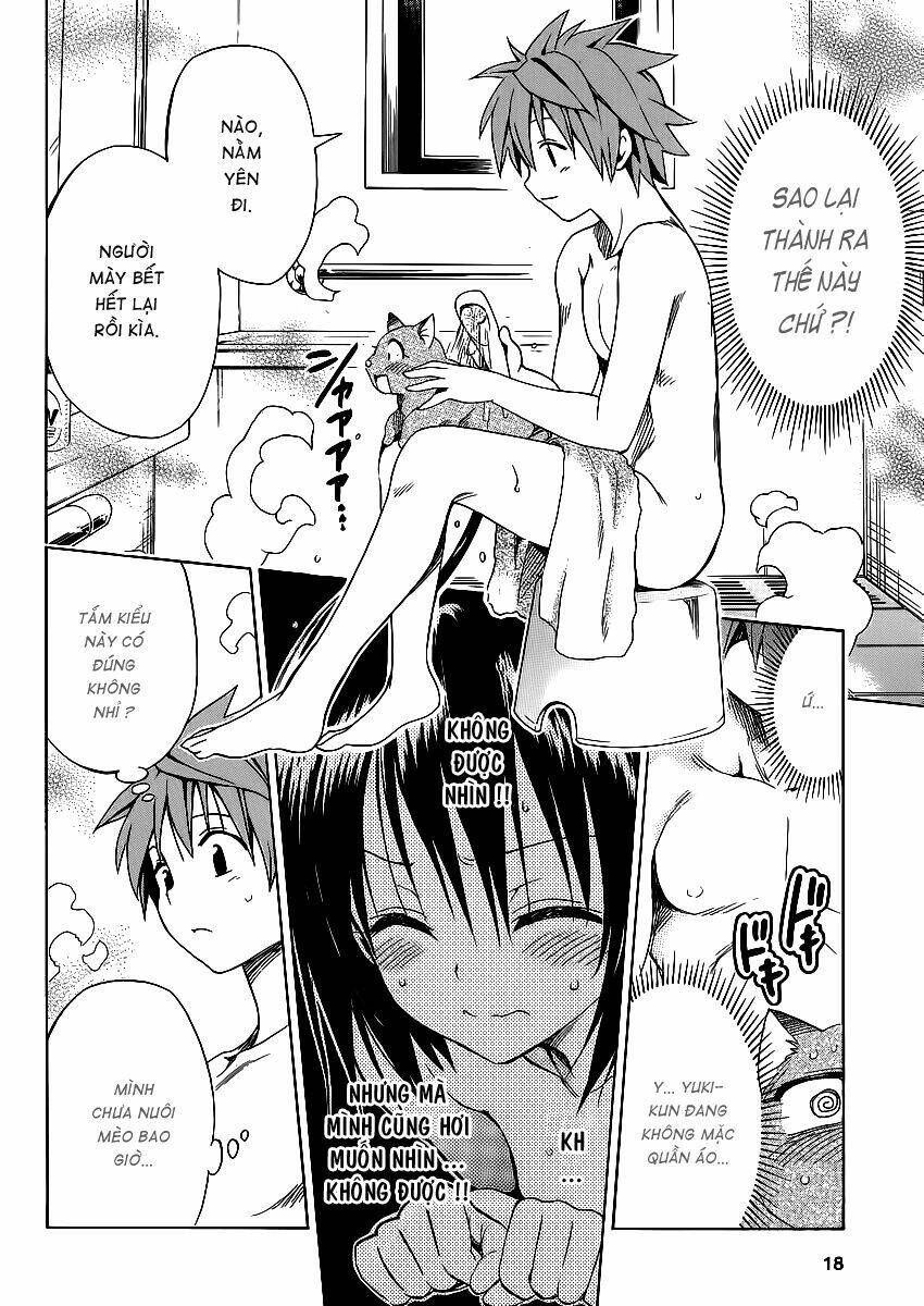 bọn tớ thích cậu! rito 2 - venus chapter 15 16