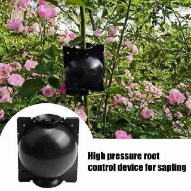 5 Bầu chiết cành tiện dụng-hộp chiết cành 6cm