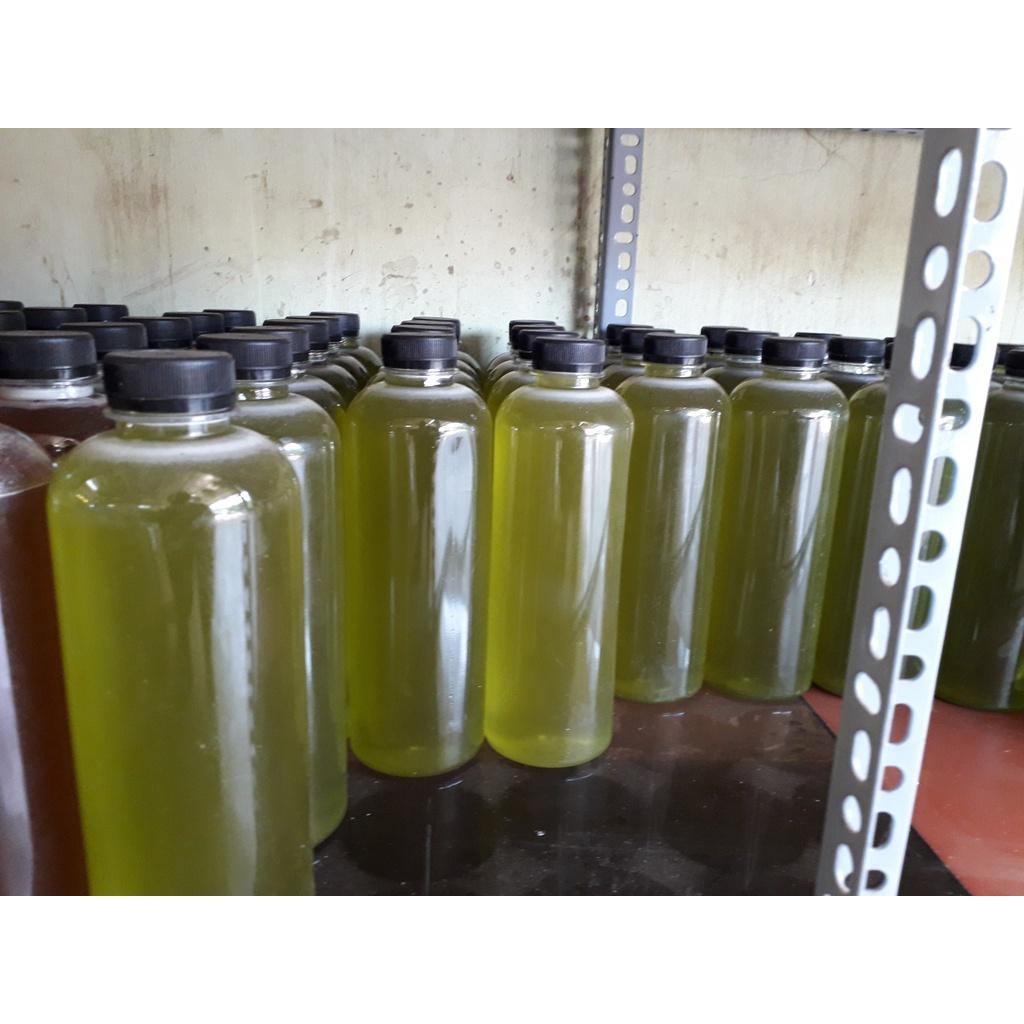 MẬT ONG HOA BẠC HÀ 100% NGUYÊN CHẤT . HSD 2 NĂM