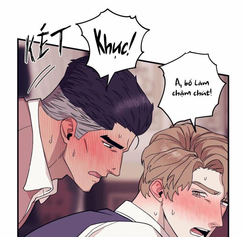 chàng dâu nhà họ kang chapter 50 76