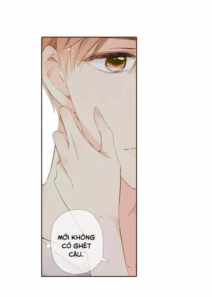 Tình yêu là màu hoa anh thảo chapter 30.1 9