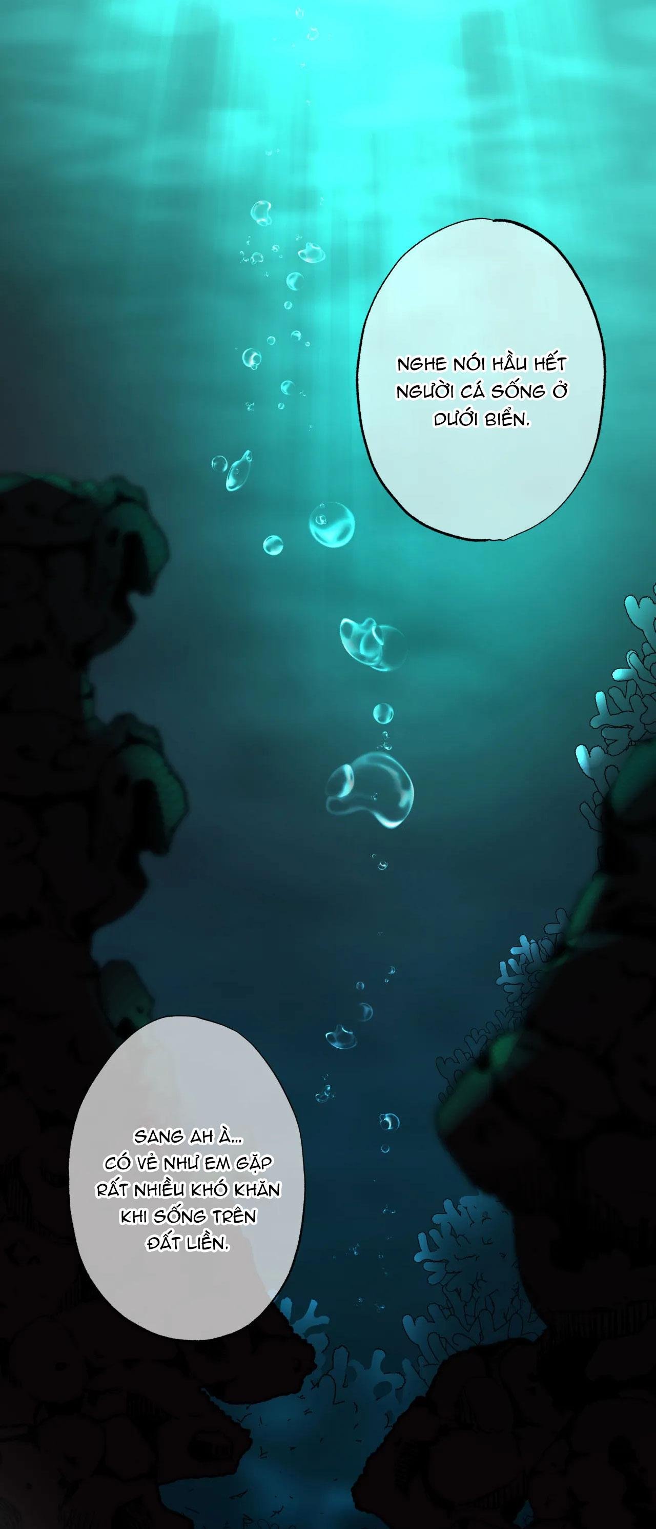 mỹ nhân ngư chapter 14 26
