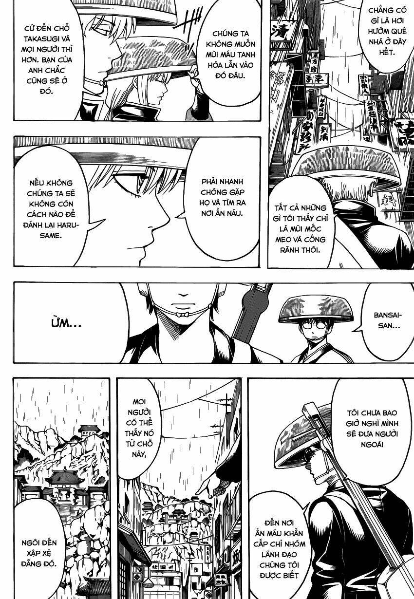 gintama - linh hồn bạc chapter 559 8