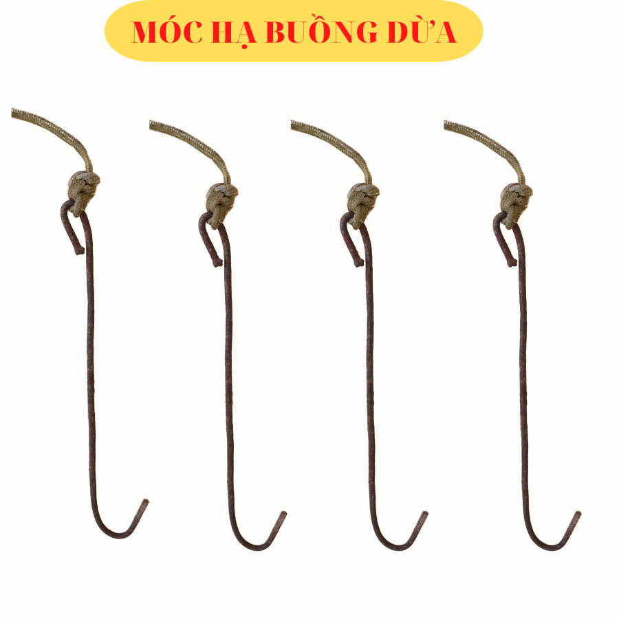 Móc hạ buồng dừa