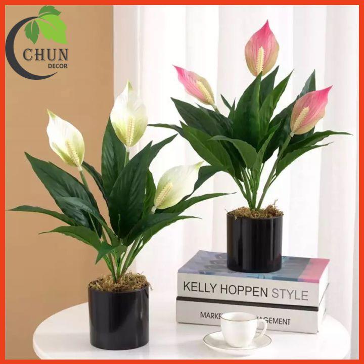 Chậu Hoa Để Bàn Bình Hoa Lan Ý Sang Trọng Cao 47cm Trang Trí Phòng Khách Văn Phòng Cửa Hàng