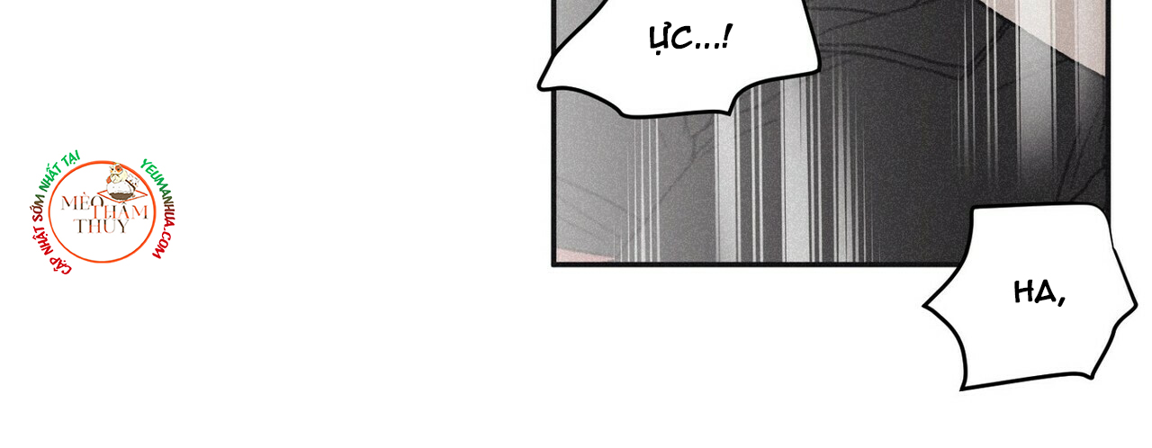 chiếu tướng chapter 45 55