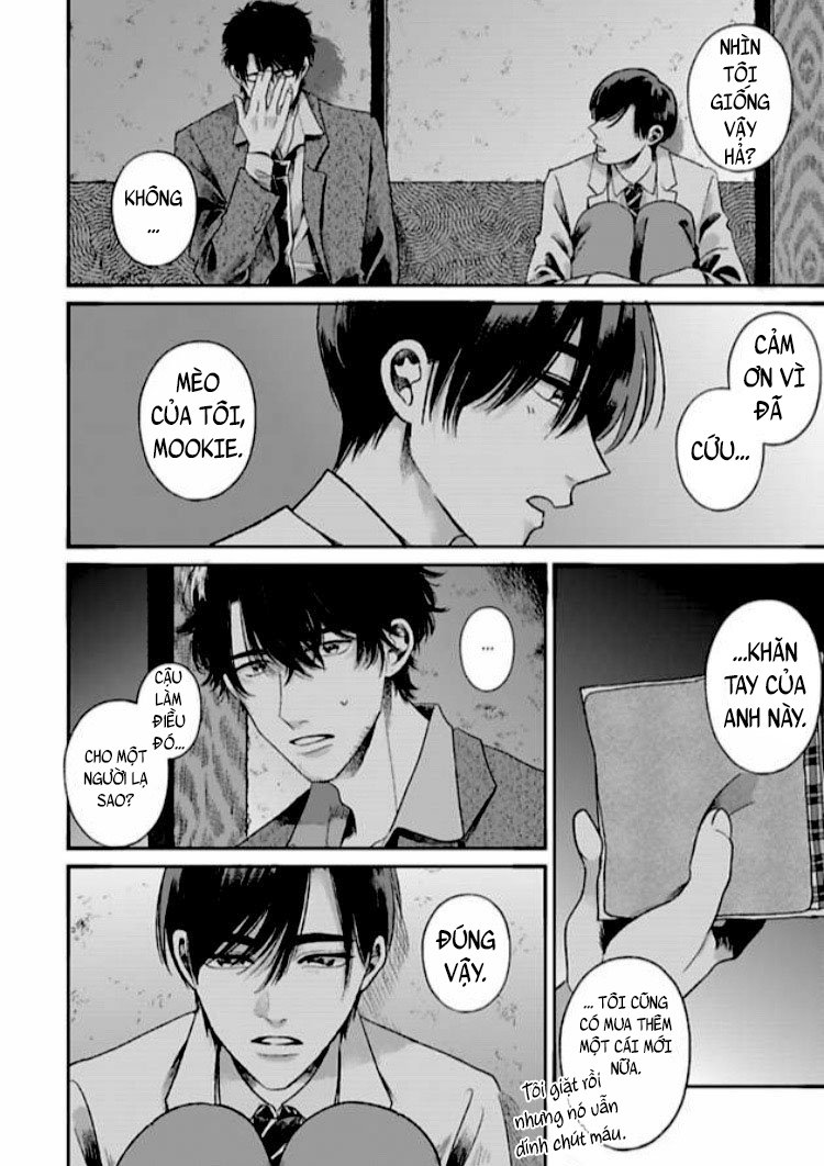 tạm biệt đồng phạm của tôi chapter 1 36