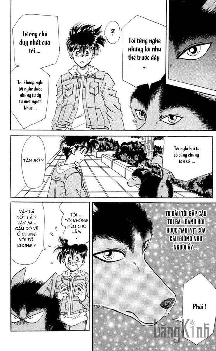 wild half chapter 1 50