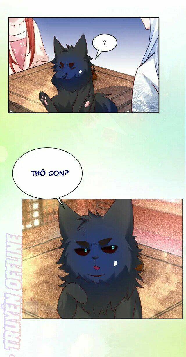 hắc hóa nam chính trực tuyến nuôi thỏ chapter 44 11