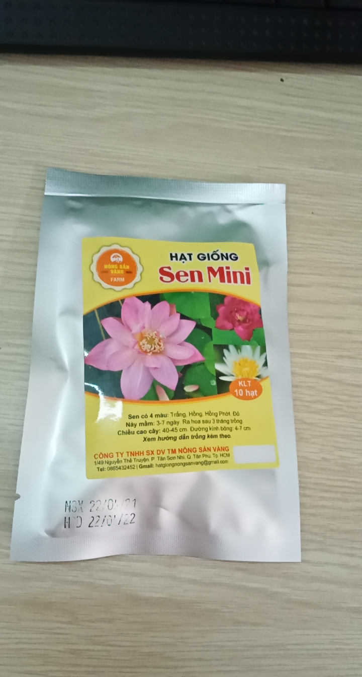 [Combo 10 Hạt] Hạt giống Hoa Sen Mini Nhật ( Màu Ngẫu Nhiên ) - Nông Sản Vàng