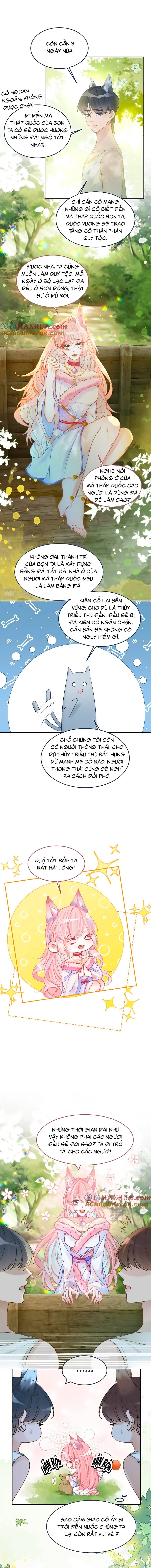 xuyên nhanh nữ phụ bình tĩnh chút chapter 168 6