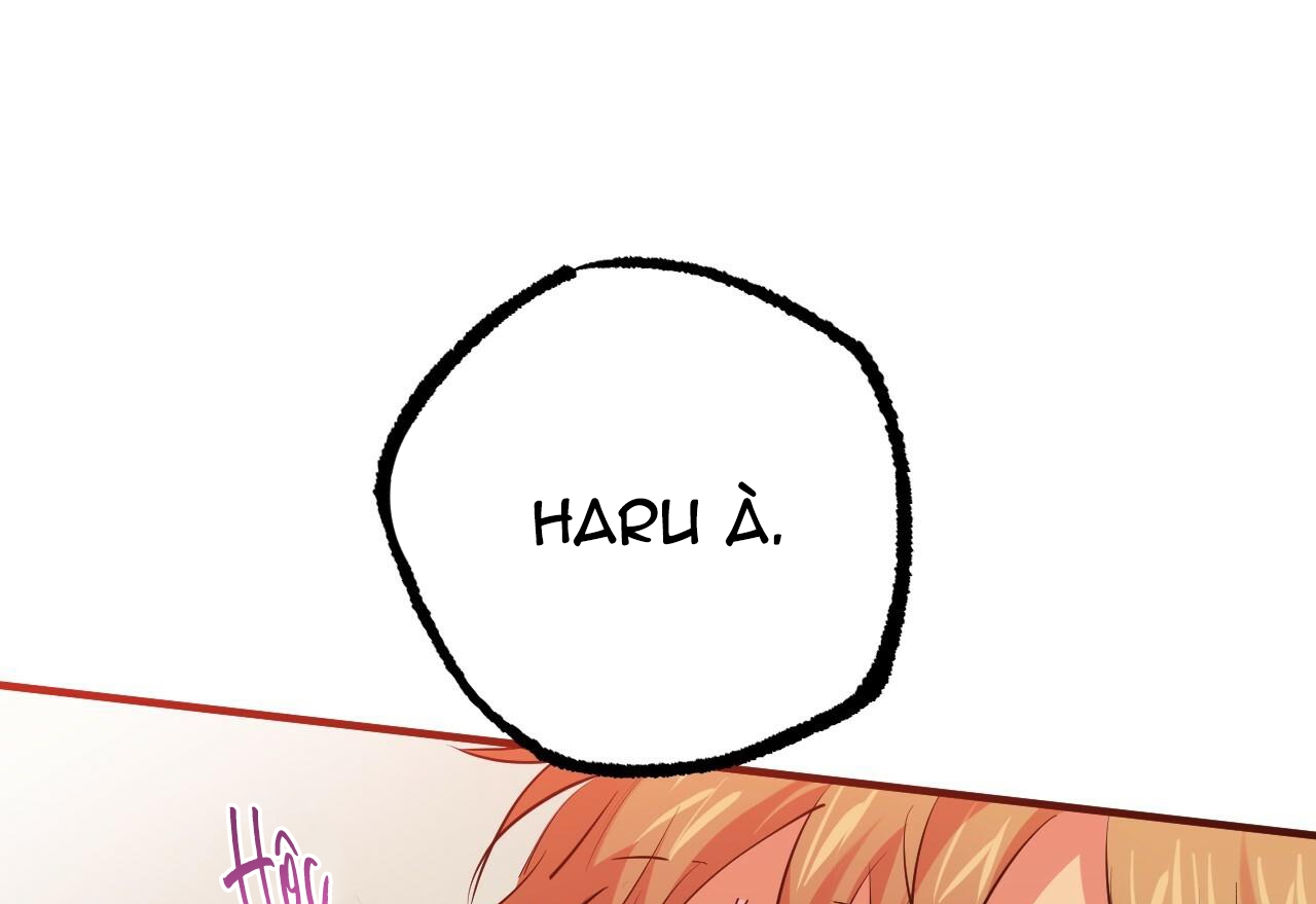 đàn thỏ của habibi chapter 29 106