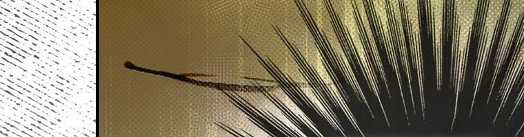 cổ tích về người mẹ kế chapter 90 58