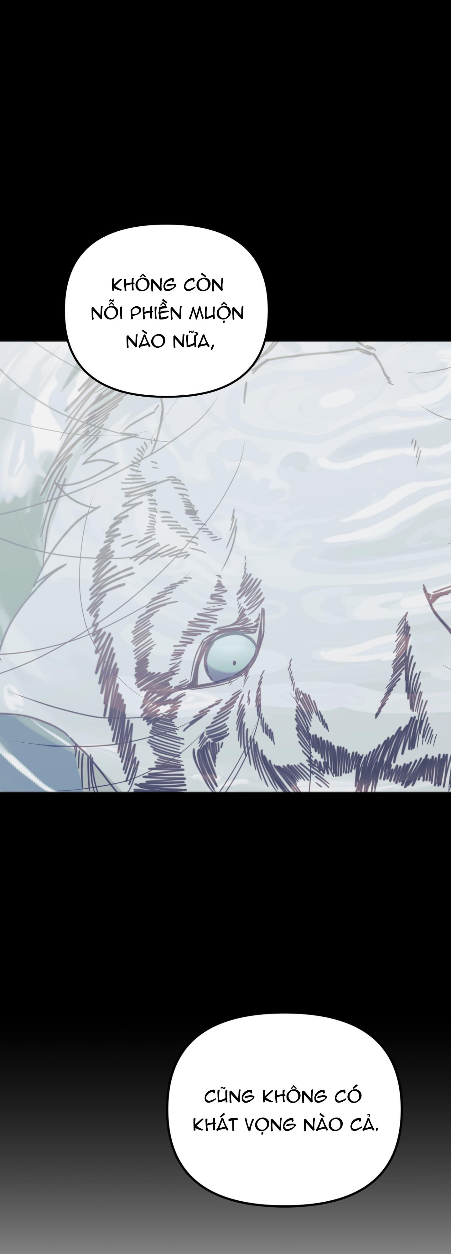 hổ trở về chapter 41 53