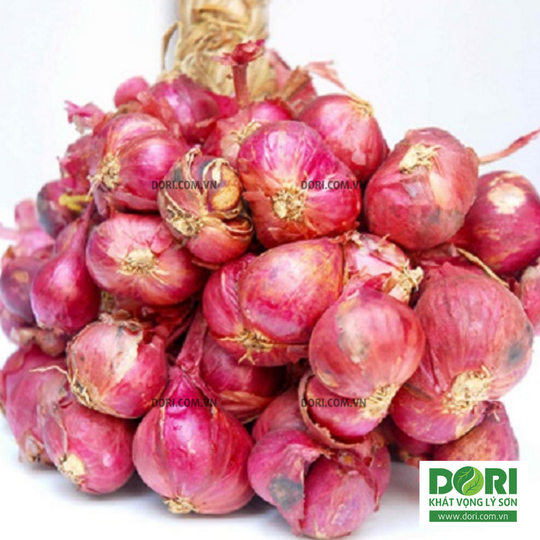 Đặc Sản Khánh Hoà - Hành tím khô Khánh Hòa - Dori Thơm - 1kg - Hành tím củ to tròn khô và thơm