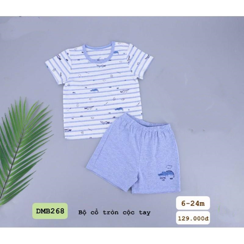 Bộ cổ tròn cộc tay DMB268