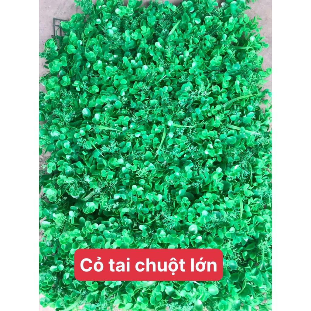 Cỏ treo tường tai chuột lớn kt 40x60