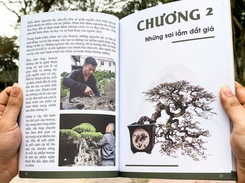 Sách Bonsai Làm chủ tư duy Định hình tác phẩm